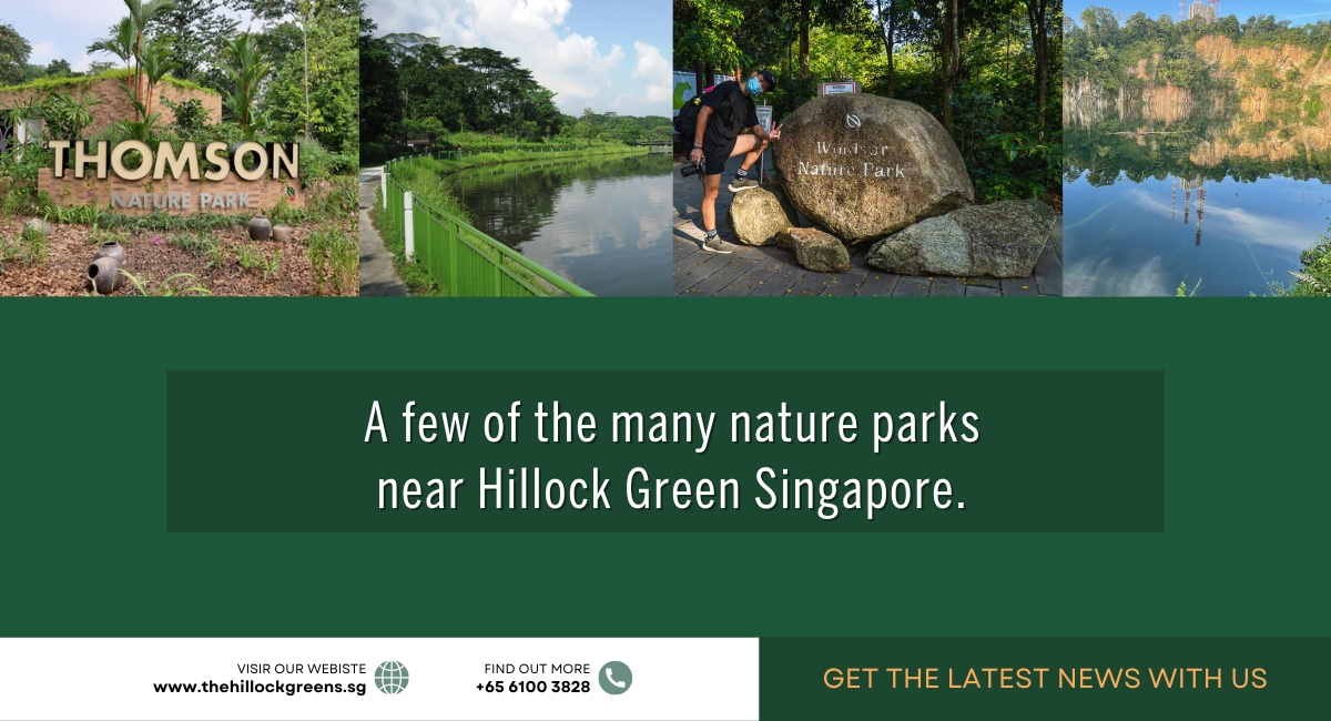 The hillock in the park provides a good view point.. - Picture of